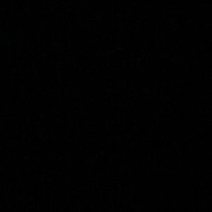 Meet your Posher, Bella